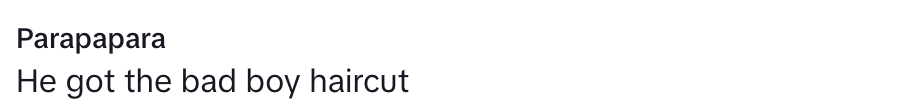 TikTok comment